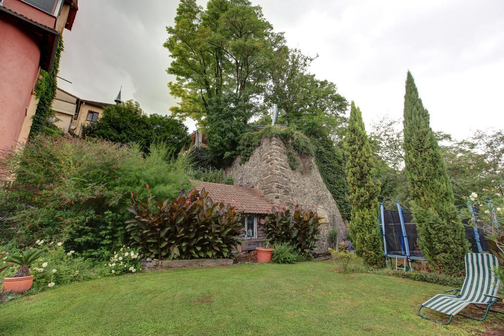Kapuzinergarten Panoramahotel Breisach Dış mekan fotoğraf